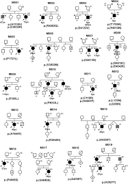 Rare RNF213 variants in the C-terminal region encompassing the RING-finger  domain are associated with moyamoya angiopathy in Caucasians | European  Journal of Human Genetics